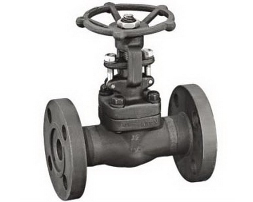 Forged Steel Gate Valve, Wedge, Flange End, Wedge - Onero Valve